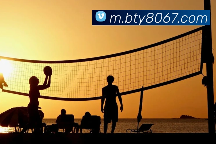 App Interface Preview